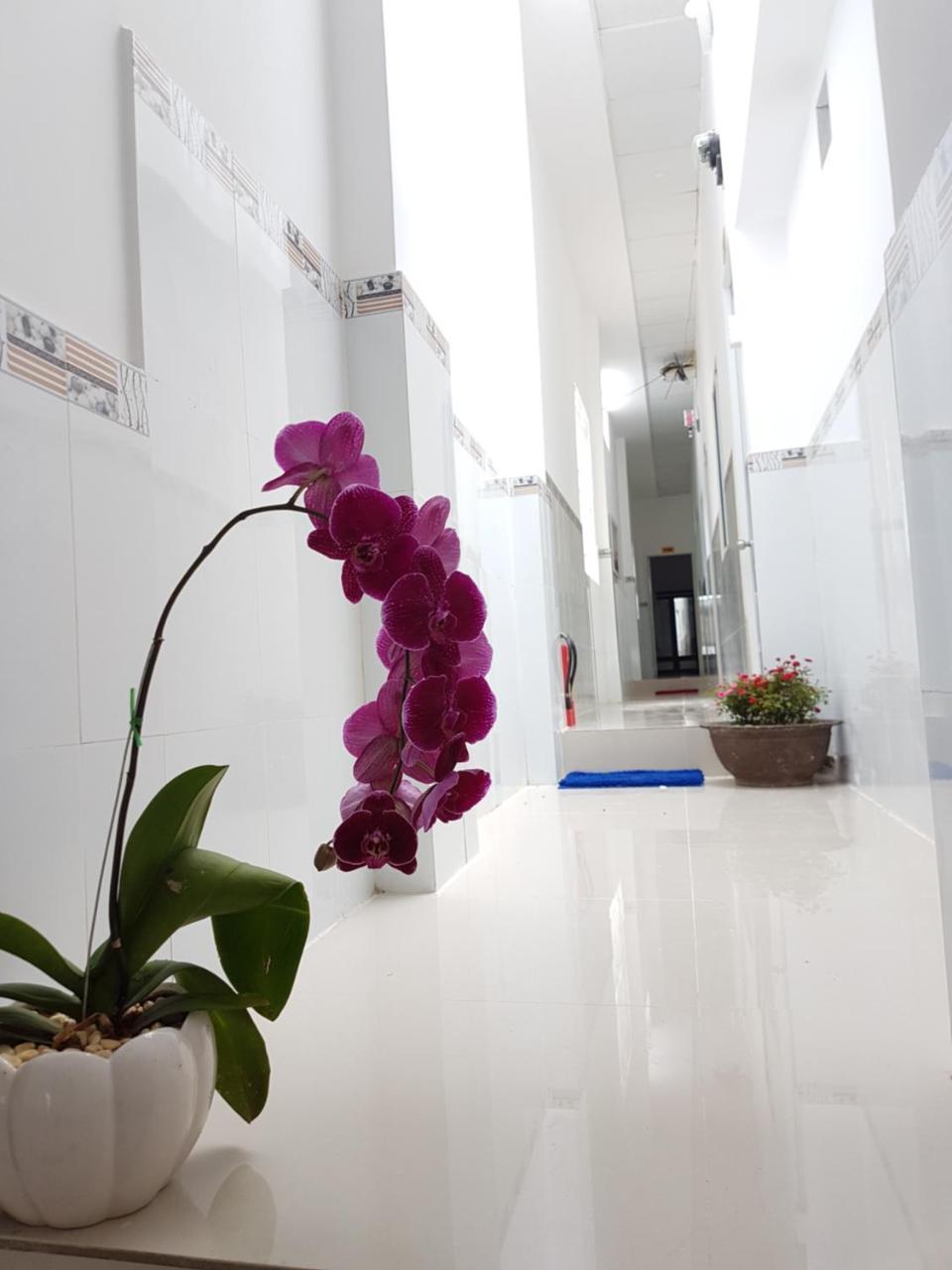 Song Ngoc Guesthouse Phú Quý Zewnętrze zdjęcie